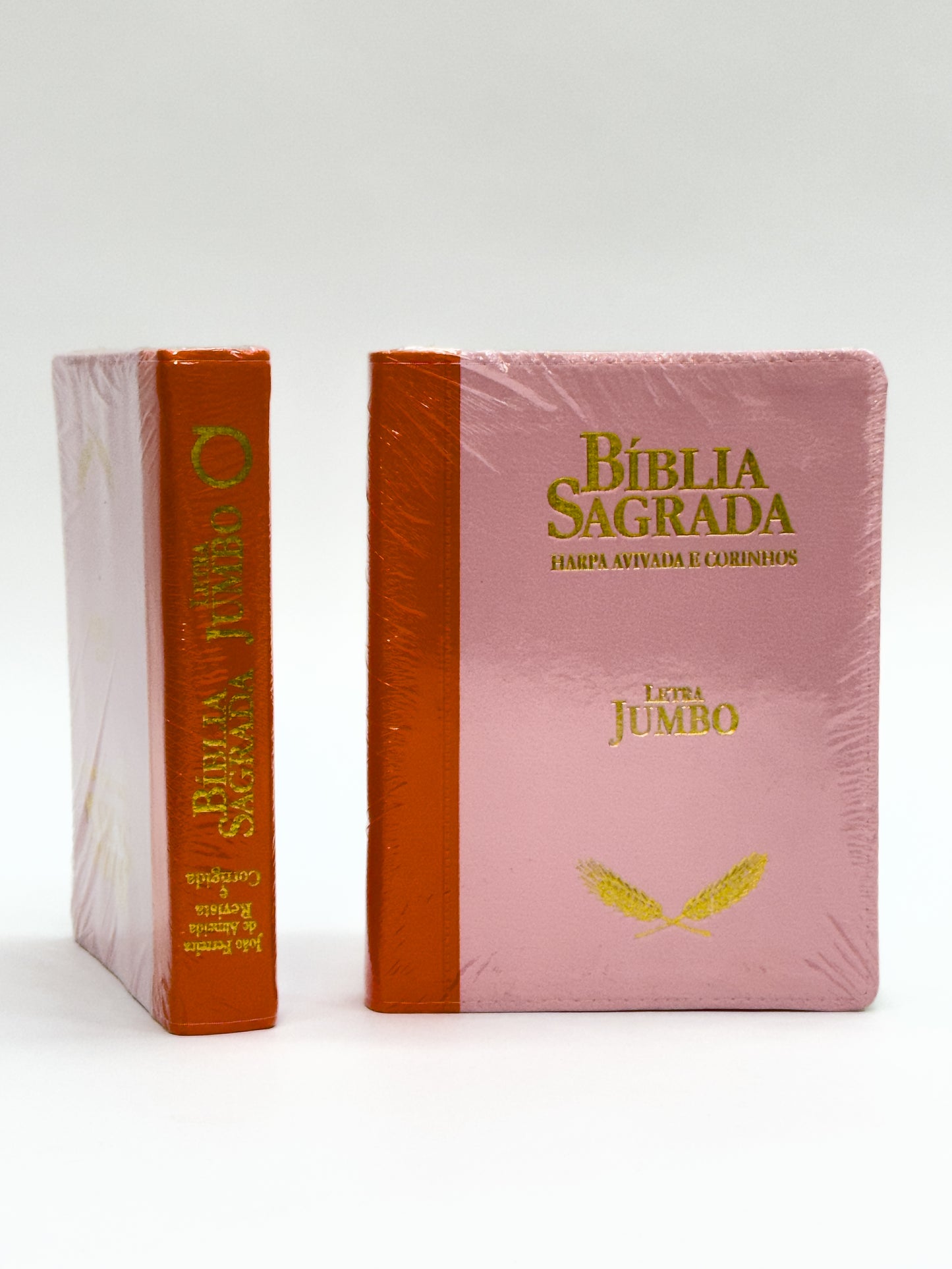 Bíblia Sagrada Feminina Rosa - Letra Jumbo